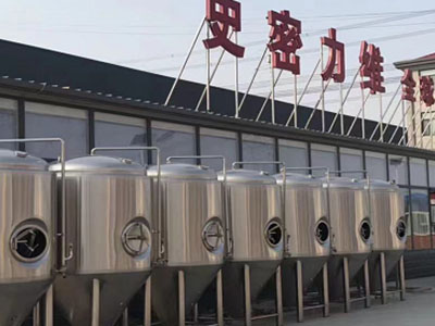 米林精酿啤酒设备厂—如何判断精酿啤酒设备的密封件需要更换？